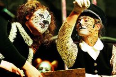 cats3