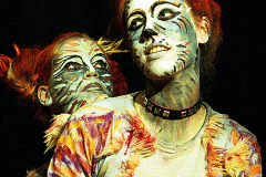 cats4