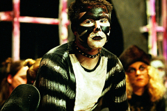 cats5